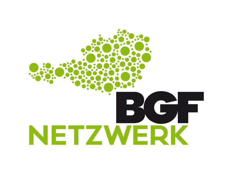 netzwerkbgf logo